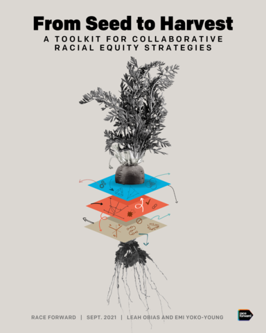 From Seed to Harvest: A Toolkit for Collaborative Racial Equity Strategies